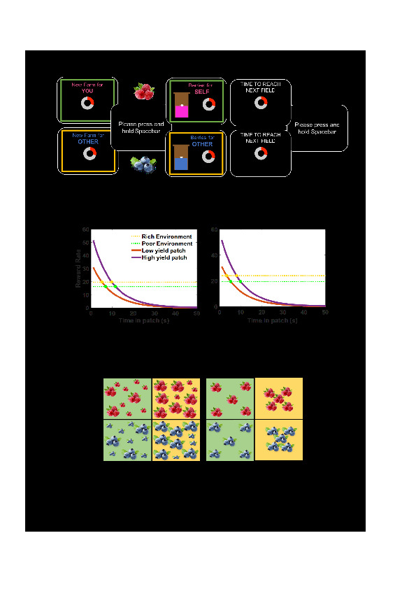 Download A reward self-bias leads to more optimal foraging for ourselves than others.